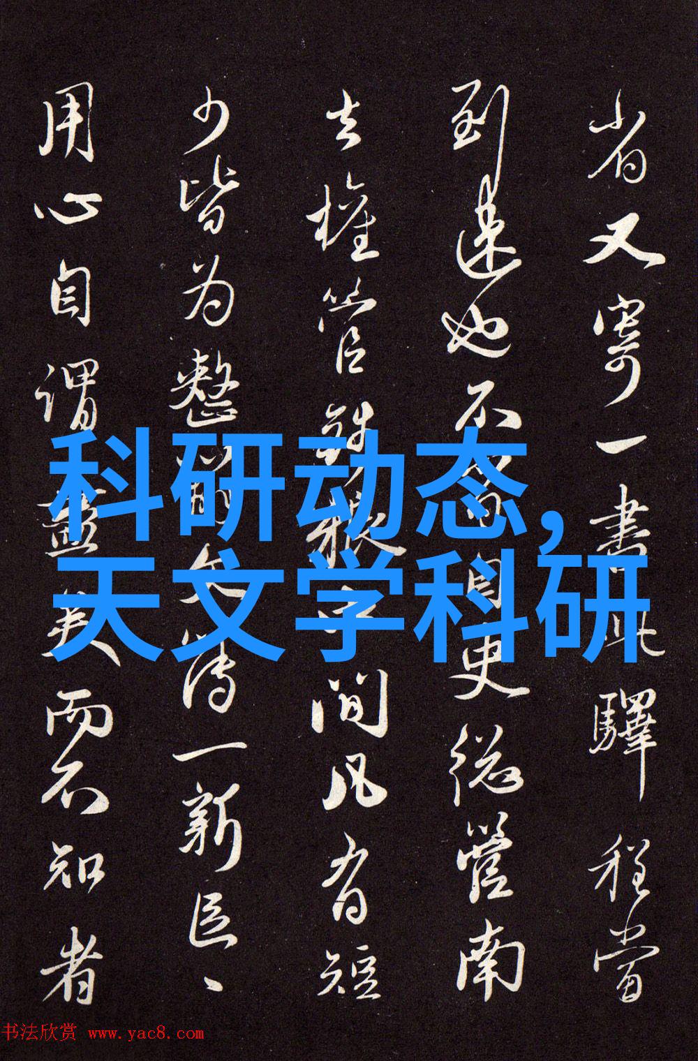 2021年大学生摄影大赛精彩瞬间高校新时代的视觉艺术展现