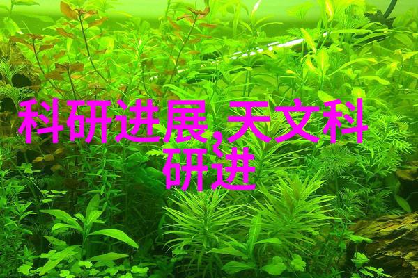 买房-梦之屋购房指南与财富管理