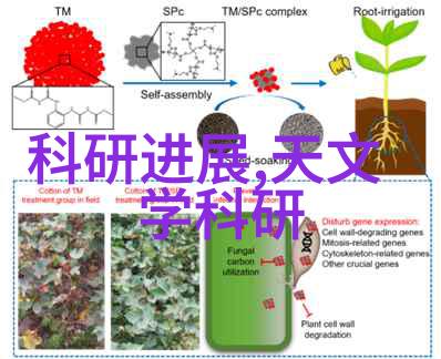 智能化学会动态我是小智今天给你解析的就是新时代科技创新AI在化学研究中的奇迹