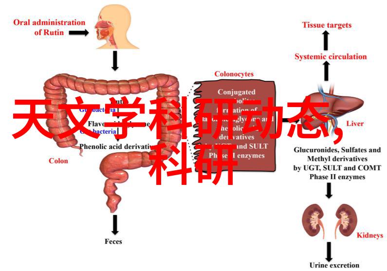 纽约摄影学院教材我在纽约拍出梦想解读那些让我们爱不释手的教材故事