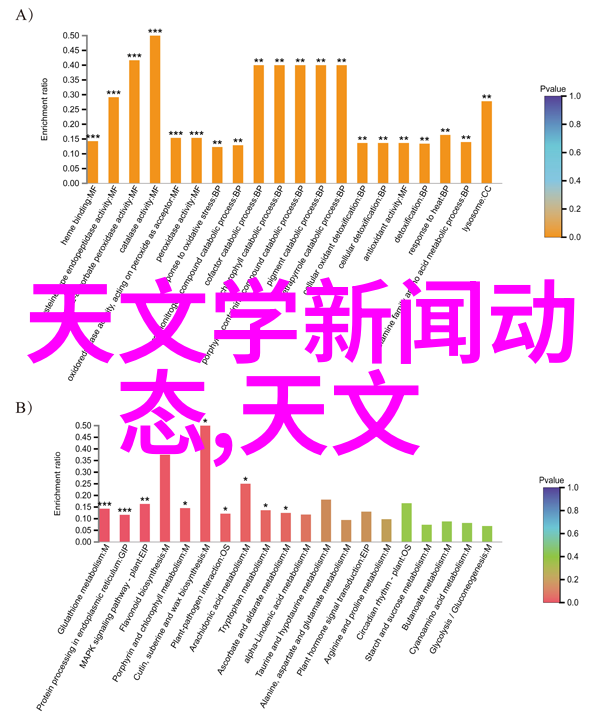 排水英雄揭秘那些让你不禁笑出声的水利工程