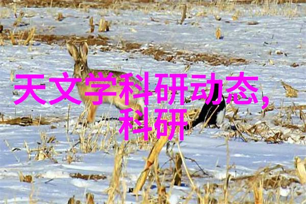 专业喷漆房废气处理设备生产厂家高效废气清洁解决方案供应商