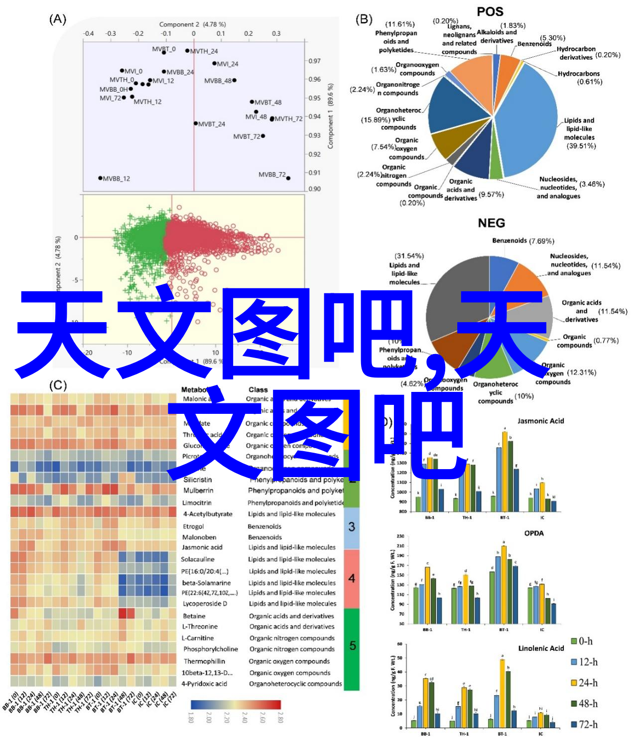 艺术的布局掌握构图技巧的要诀