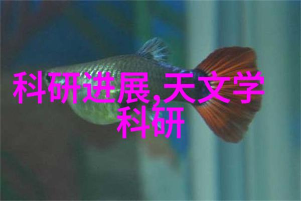 新风加净化清洗油烟净化器让你的家中物品都能享受到健康的空气