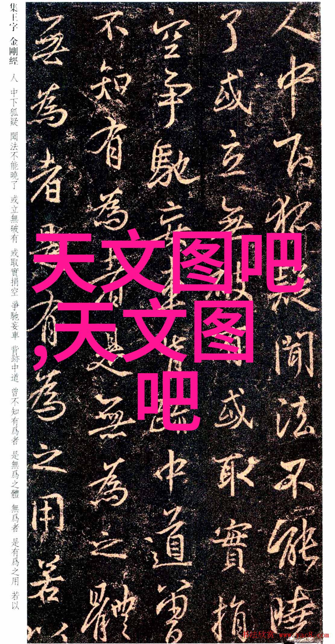 r什么意思-解密r字的多重含义从缩写到谐音