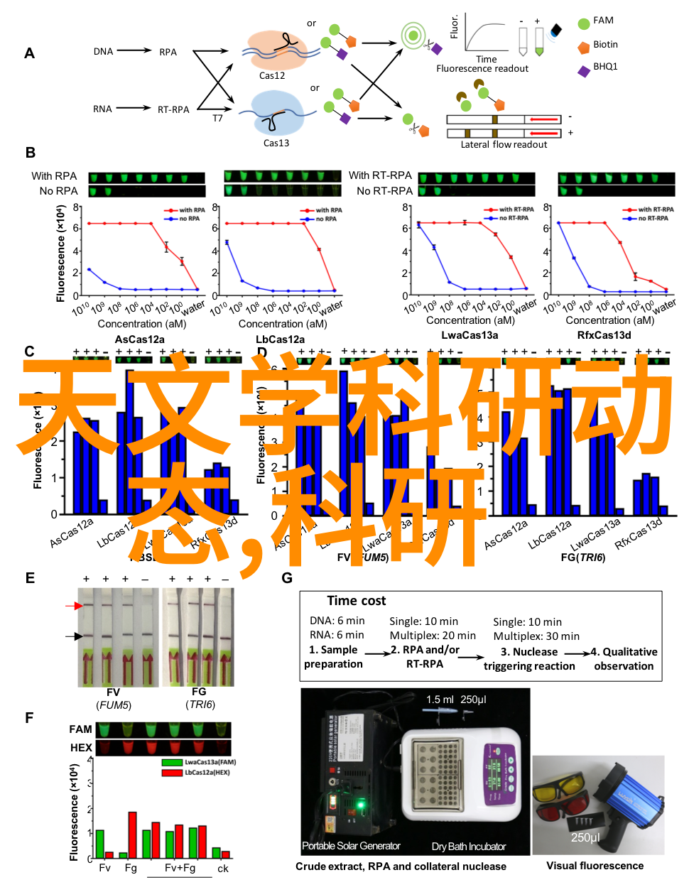 企业内部绩效评估的重要性与实践方法