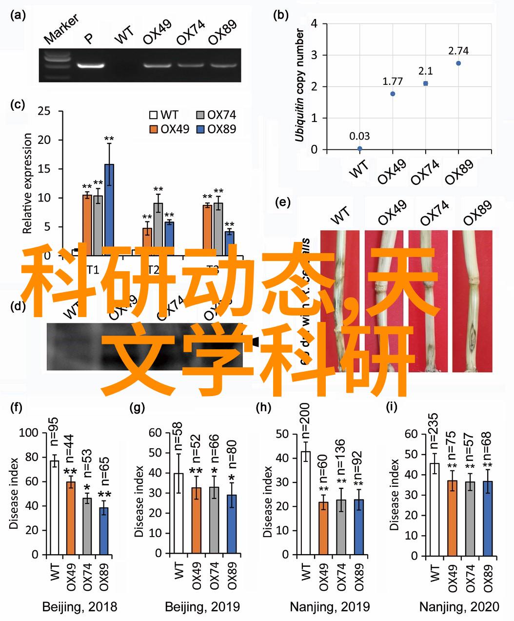 工业用烟雾净化器清新的工作环境守护者