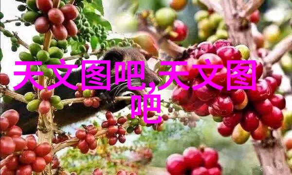 算法与信任之间探索芯片解密公司的道德责任心