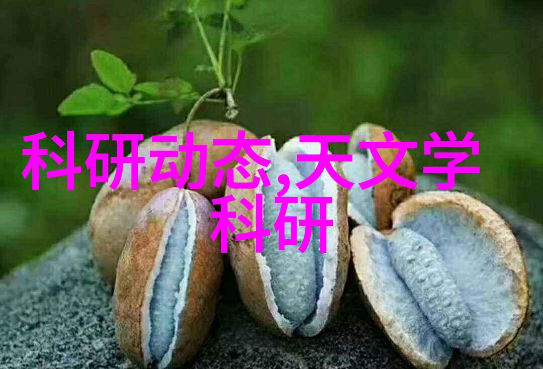 凤女重生之追夫情缘