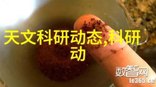 长春财经学院我在这座书香校园里找到了自己的财富密码