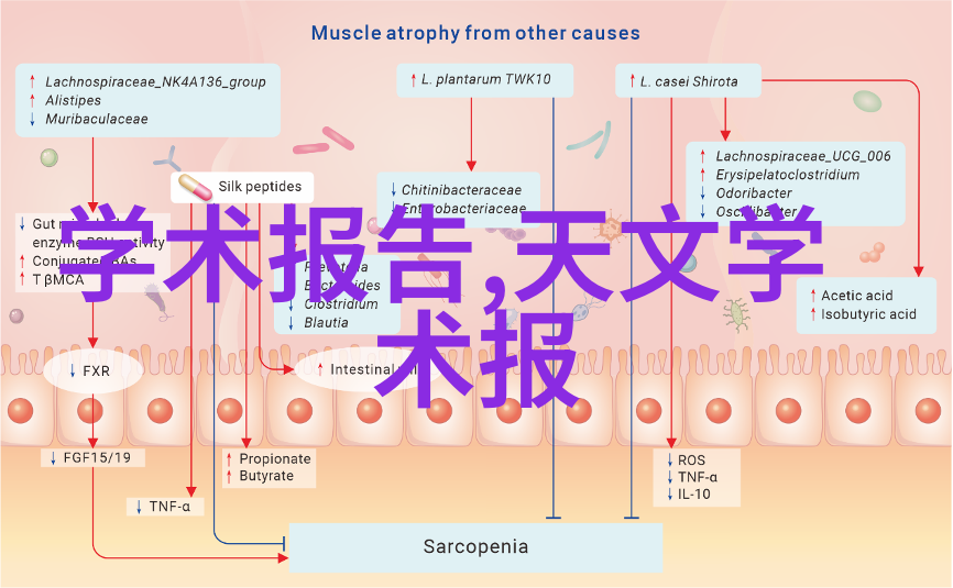 机器人的视觉镜像世界的无声诗人