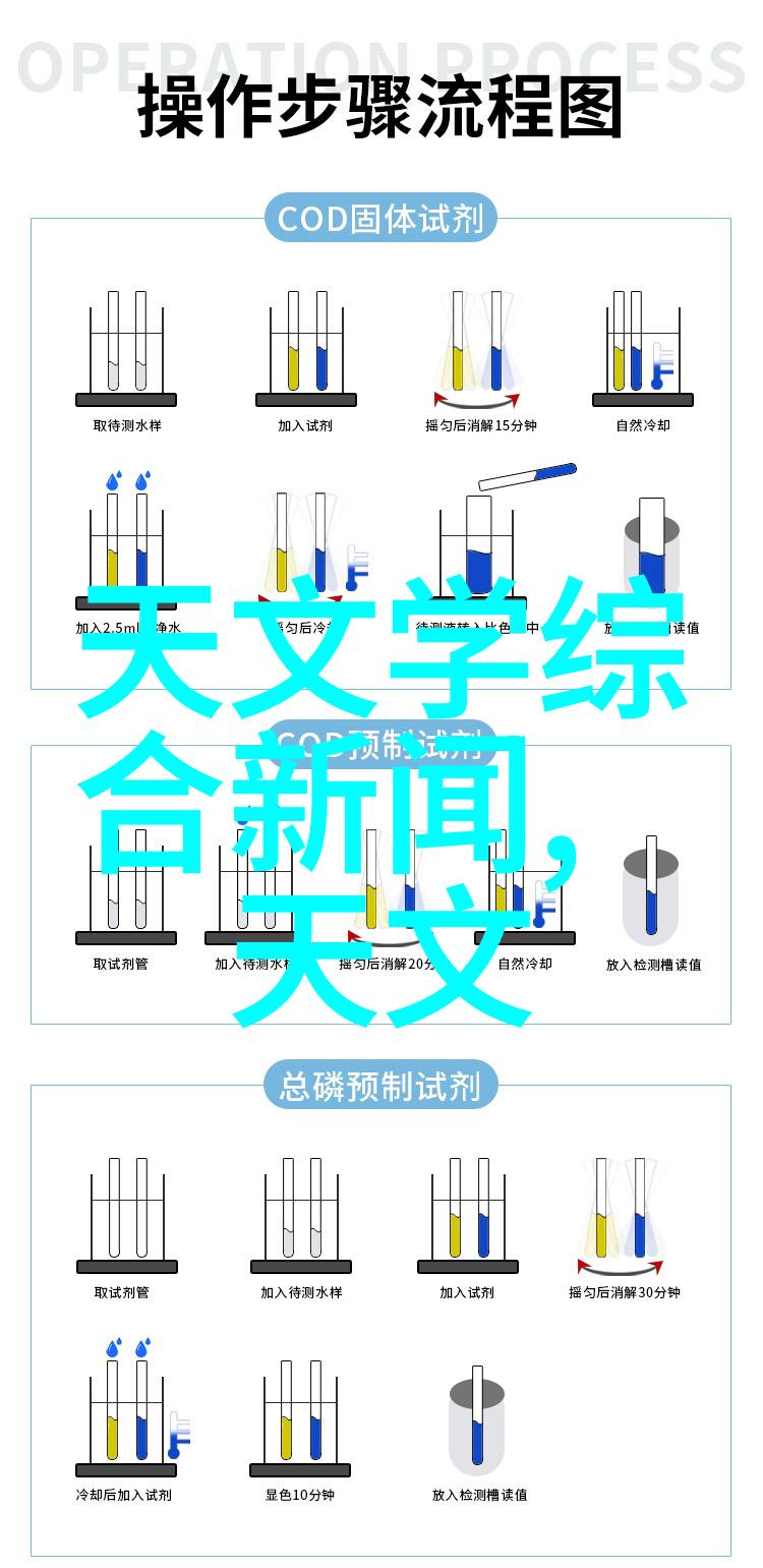 海思 22AP10 视频处理芯片花的象征意义解析