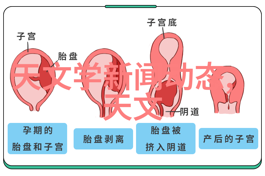 摄影师精彩作品展摄影艺术的美丽瞬间