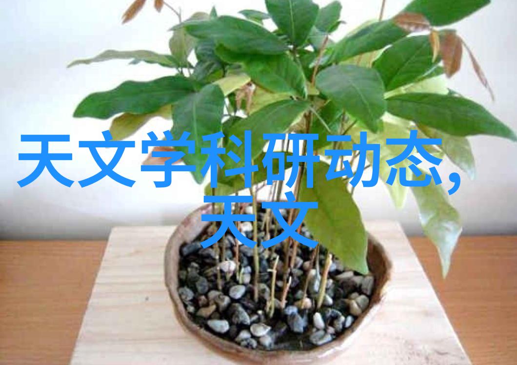 如何通过喷塑传达社会问题并引起公众关注