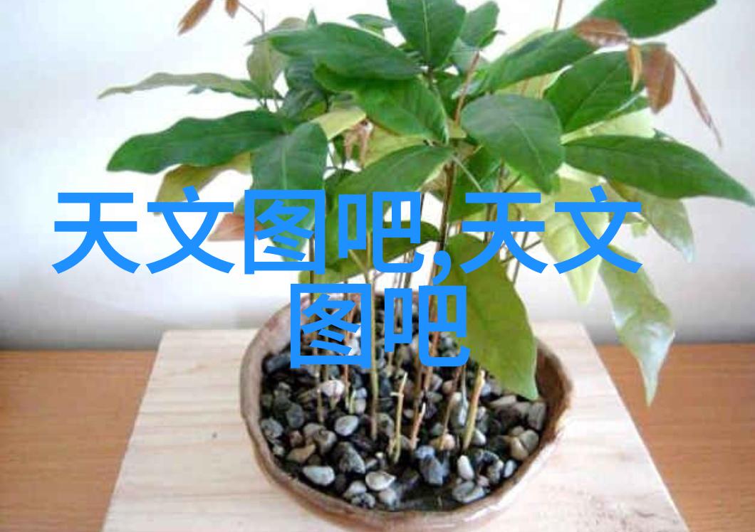 办公技巧-打报告之道如何高效规范撰写