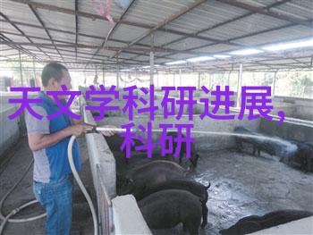 丝网波纹填料装填技巧高效丝网波纹填充方法