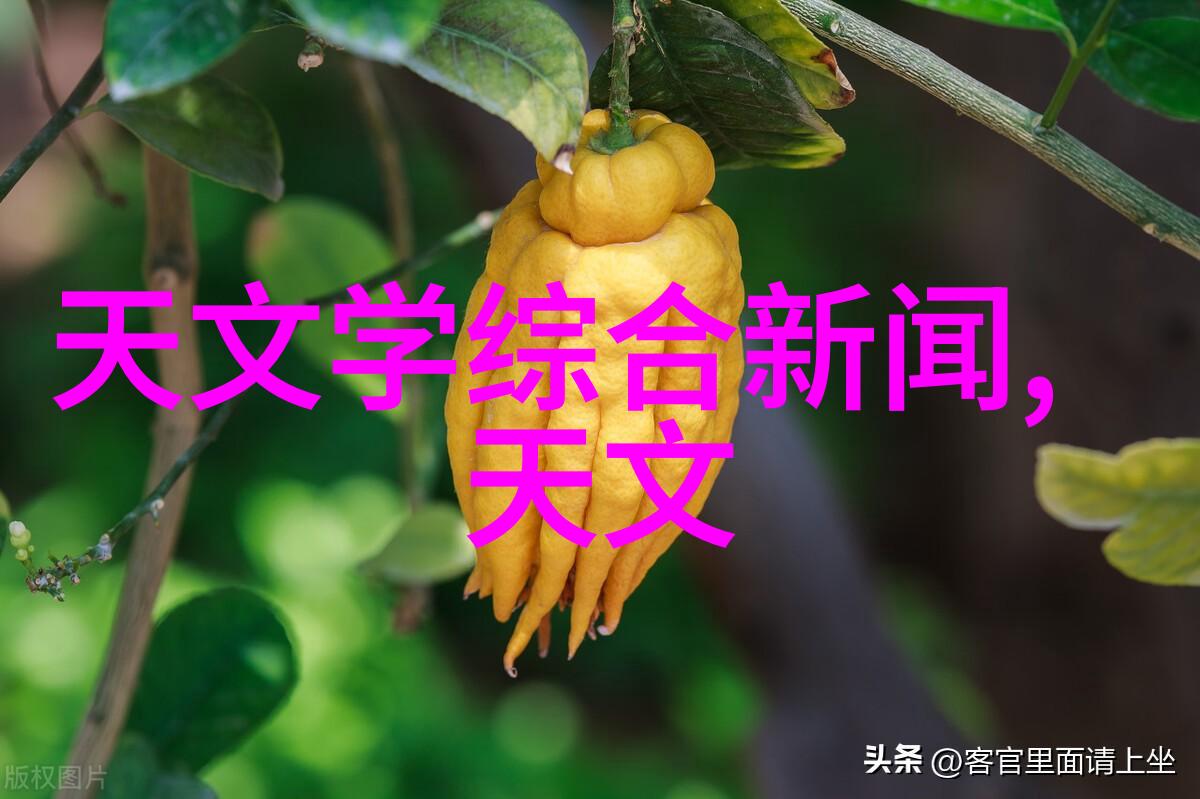 管式离心机运行机制深度解析