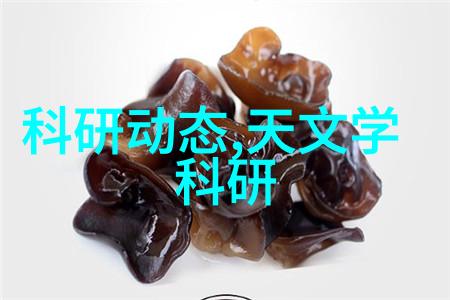 广西财经学院-深度探索广西财经学院的教育特色与社会贡献