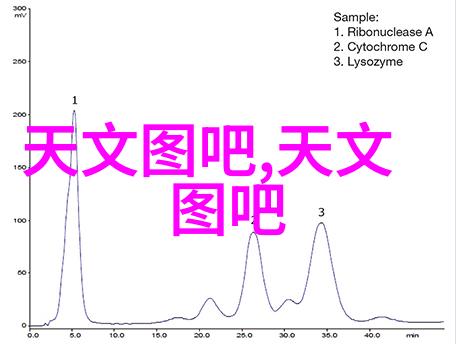 春风得意马蹄疾沐风网携手创客梦一同起航