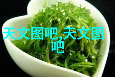 拍照新手必备掌握基础知识从入门到精通