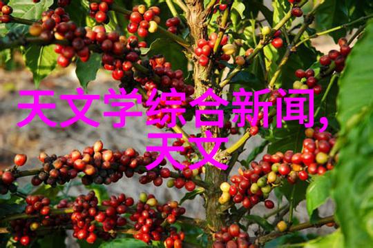 精确筑梦揭秘施工合同的关键要素与法律保障