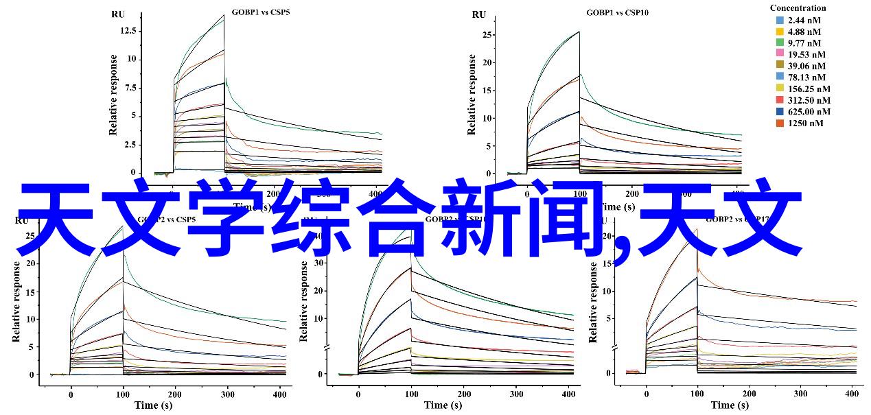 年轻嫂子我媳妇的故事从小女孩到家庭中的新掌舵手