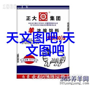 探索光影世界单反相机入门指南