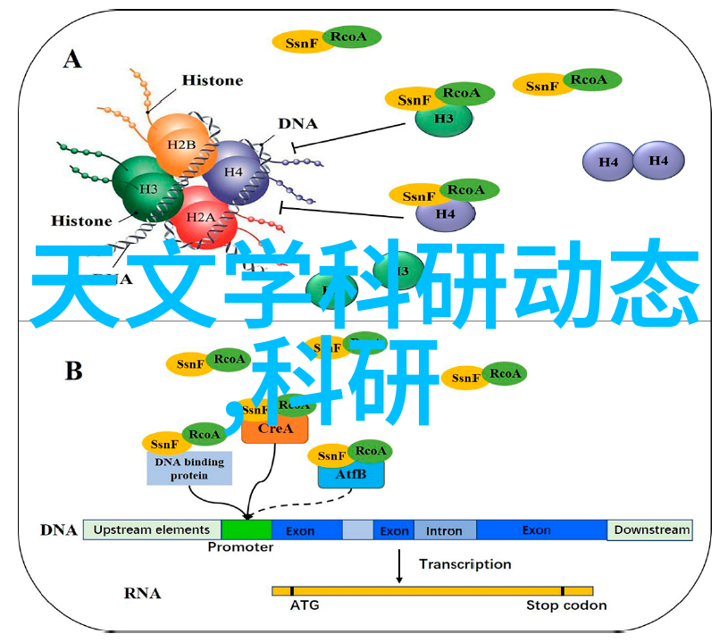 简约客厅装修灵感精选图片大全与设计指南