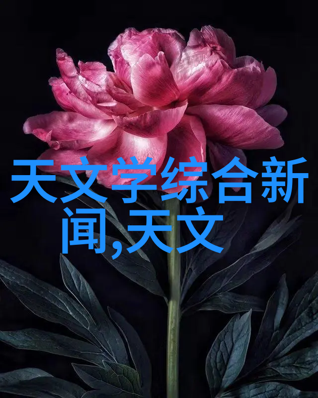 单反大冒险索尼的镜头小精灵