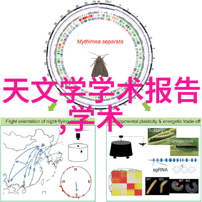 选择合适的颜色方案让你的书房焕发个性魅力