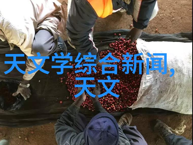 水管安装指南从选择材料到精确连接的全过程解析