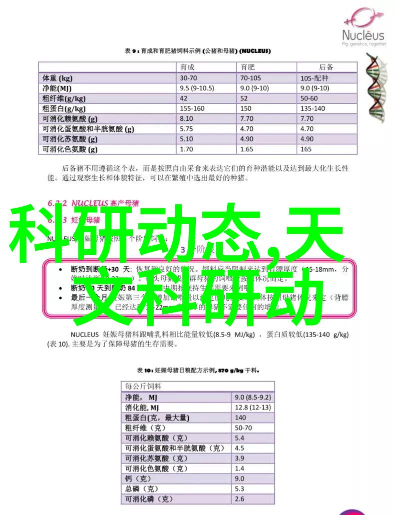 小空间大气质适合紧凑卧室的墙纸样式探索