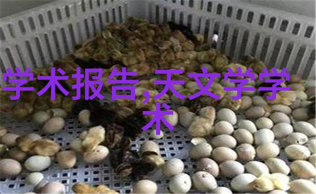 东方学院的秘密之门