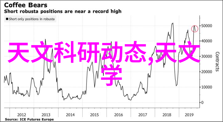 跳跃乐趣两只大兔子抖来抖去的欢快时刻