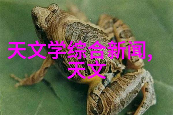 芯片之谜揭秘硅金属与绝缘材料的合体奇迹