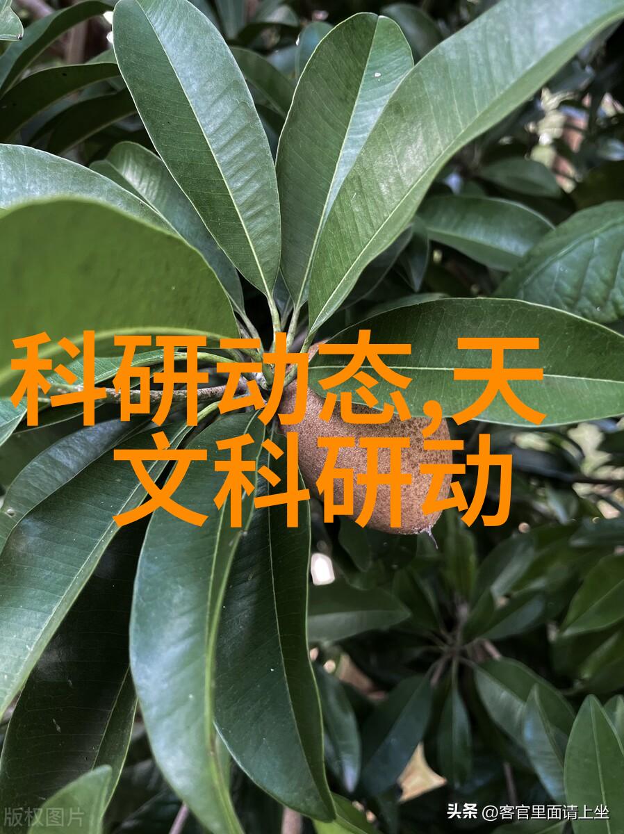 罩子没戴让捏了一节课我这节课是怎么因为忘了戴口罩就被老师捏了的