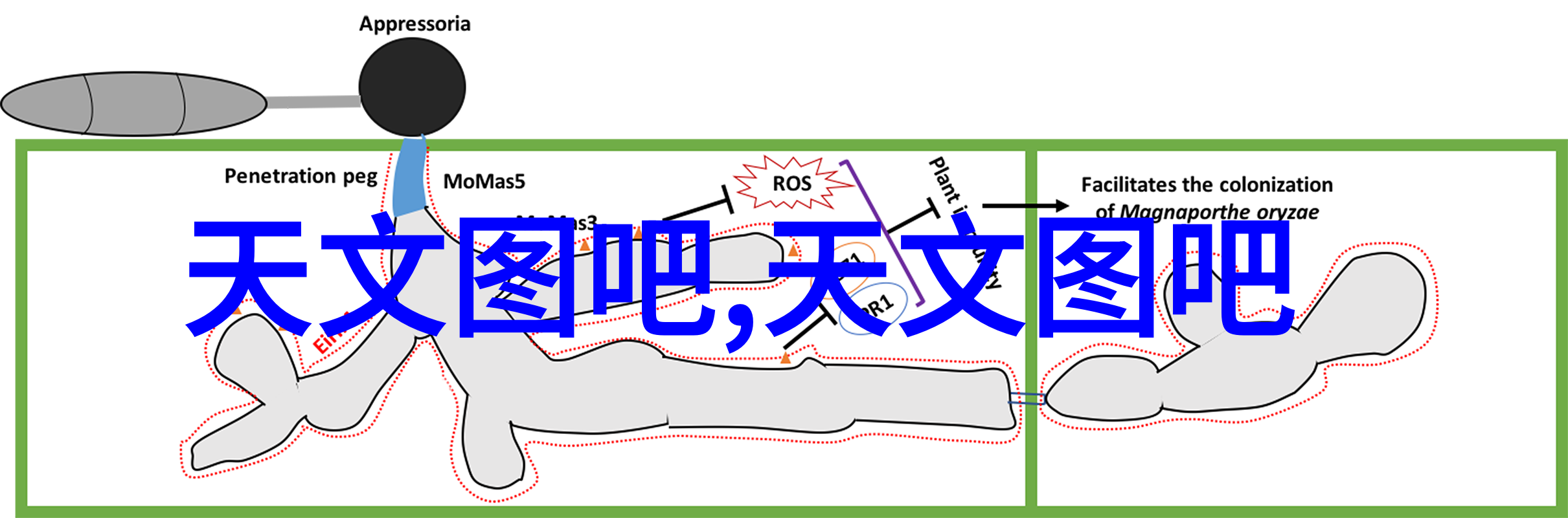 客厅窄长装修效果图巧妙利用空间的艺术