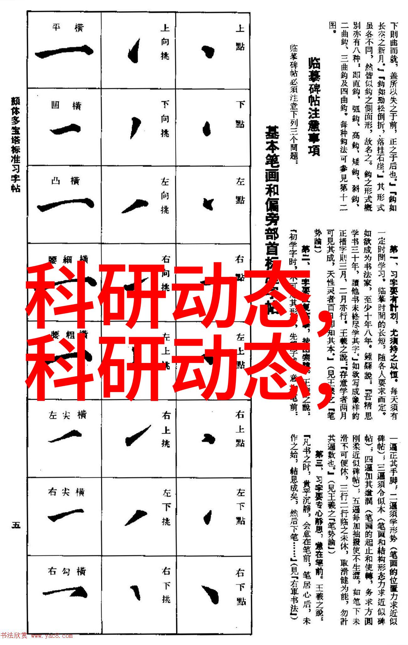 佛山科学技术学院创新的摇篮与智慧的源泉