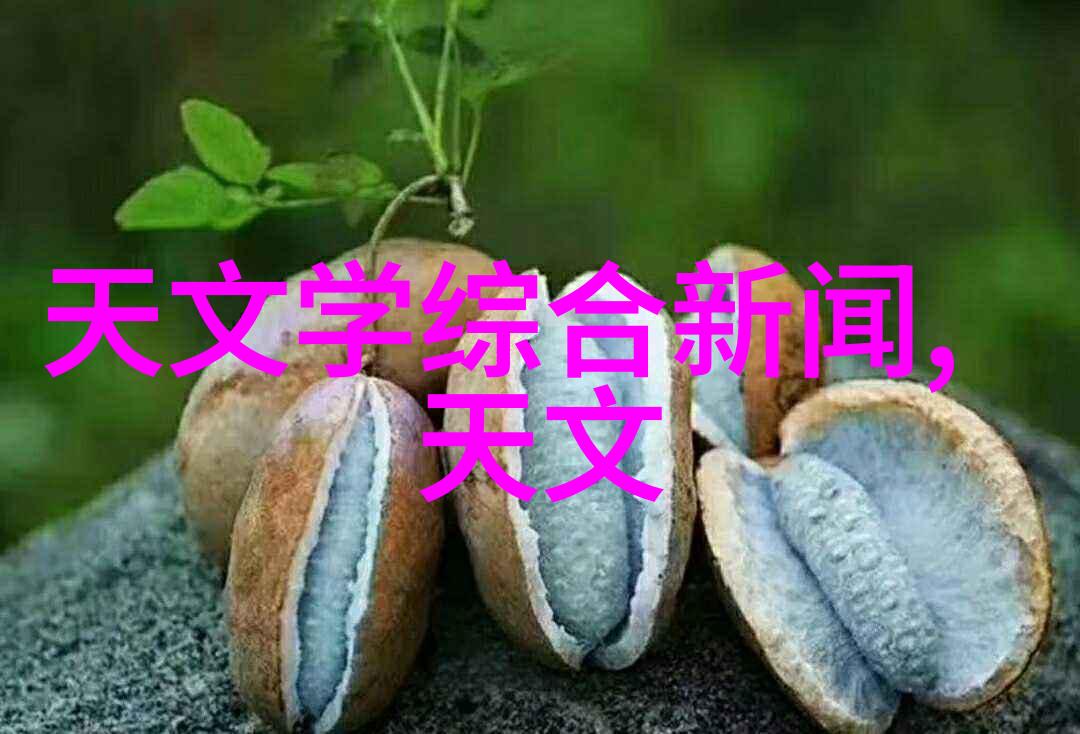 透明边界的邂逅在落地玻璃窗旁的故事