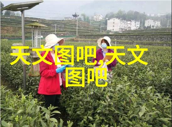 探索仪器与设备的分水岭功能用途与管理差异解析