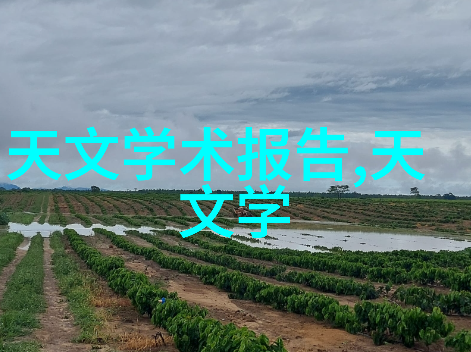 奥地利EE EE80系列 暖通空调用CO2相对湿度和温度变送器及开关