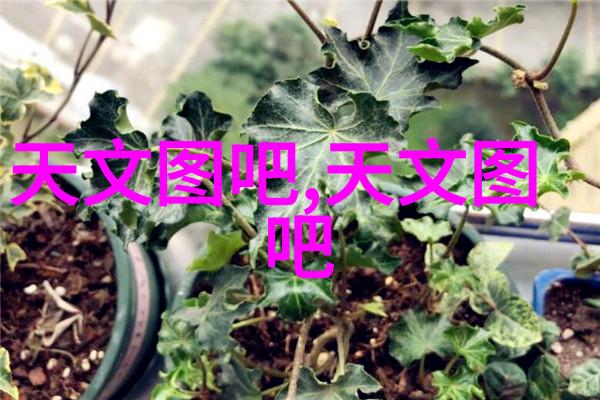 蔷薇花园里的枕