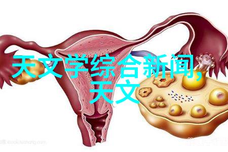 厨房装修设计效果图我的梦想厨房现实化