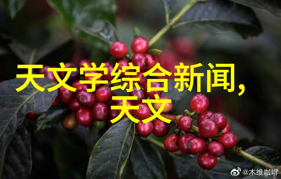 修真世界最新章节我是系统的宠儿从废柴到大宗师