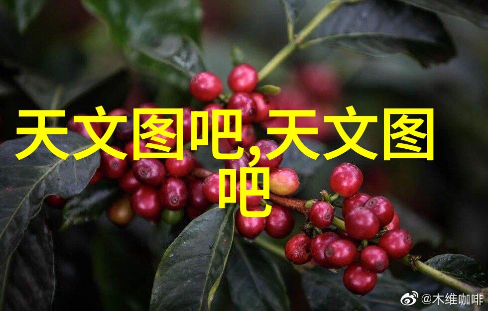 嘉格纳文化与艺术有哪些独特之处