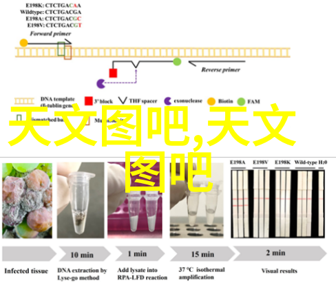 30平米一居室装修小技巧