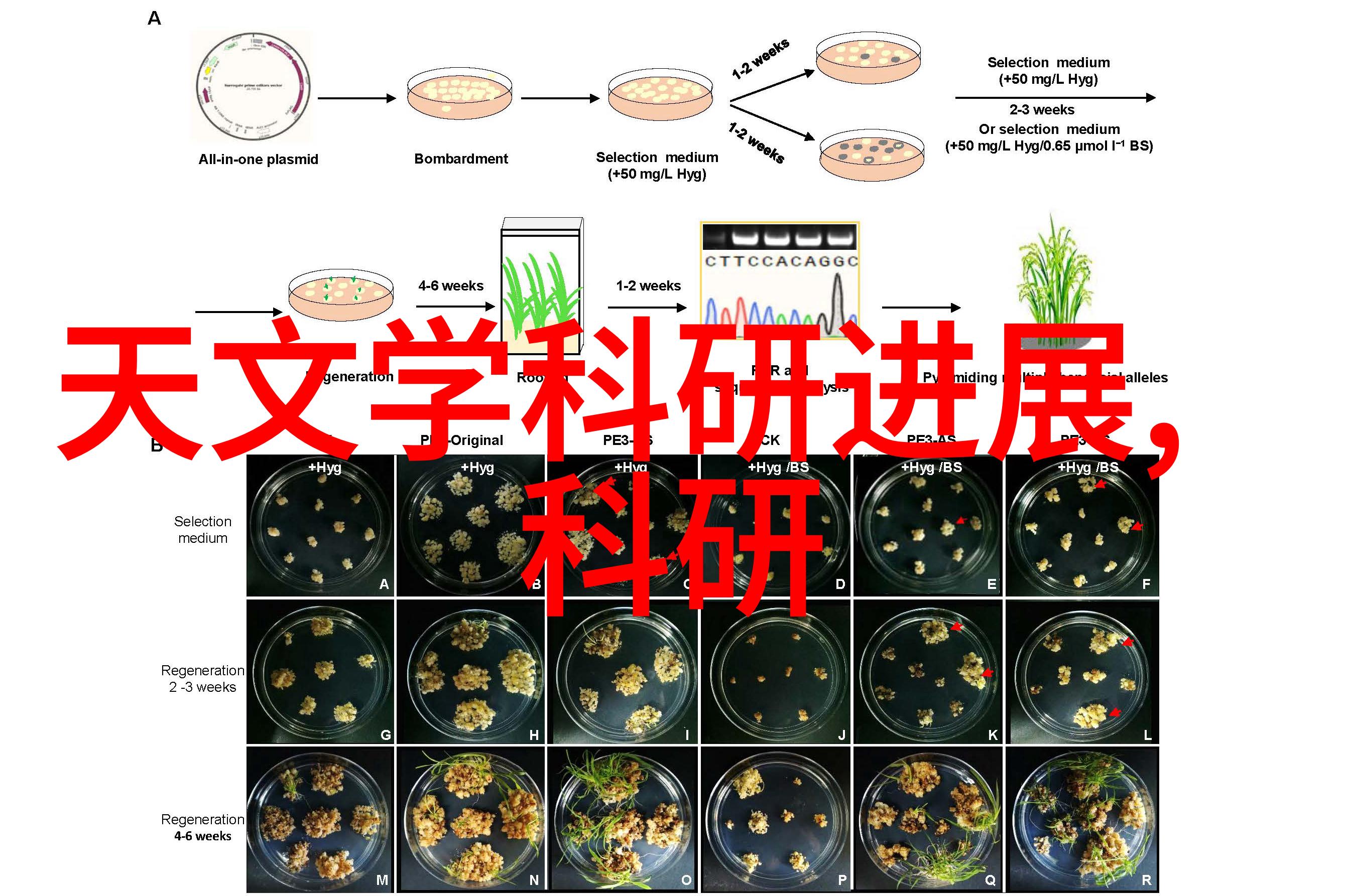 家居装饰新潮流提升装修设计能力的培训课程