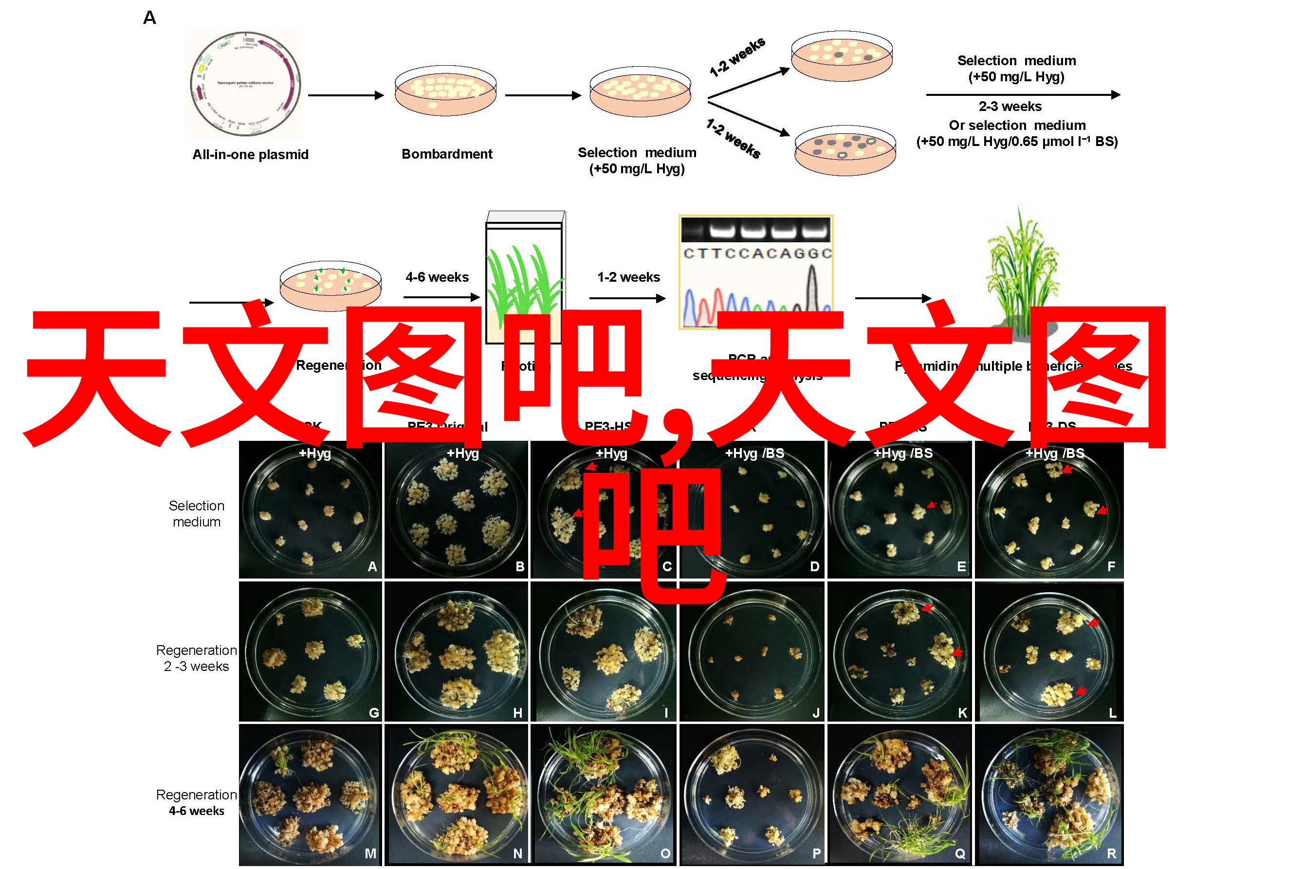 探索嵌入式开发领域的最佳学习场所如何评估培训机构排名