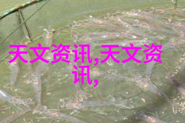 1012对辊制砂机的运作原理与应用实例