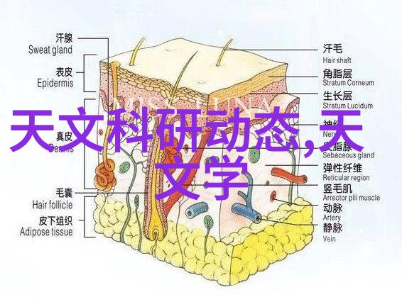 中德华胜制药设备有限公司我来告诉你我们的故事我们如何在中国和德国的合作下打造世界级的制药设备